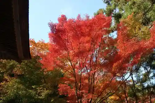 大矢田神社(岐阜県)