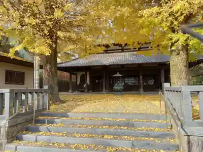 宗福院 板橋地蔵堂(神奈川県)