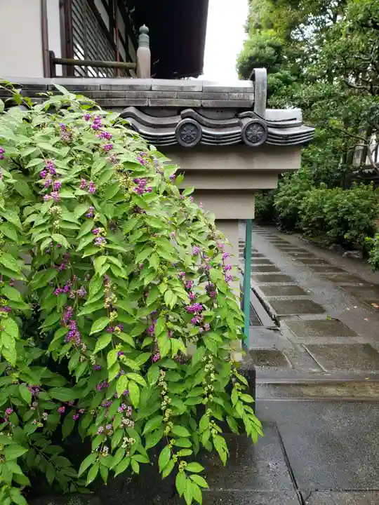 世尊院(東京都)