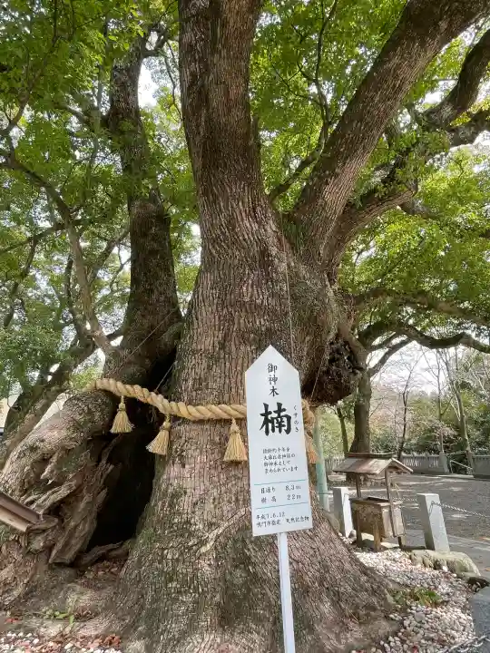 大麻比古神社(徳島県)