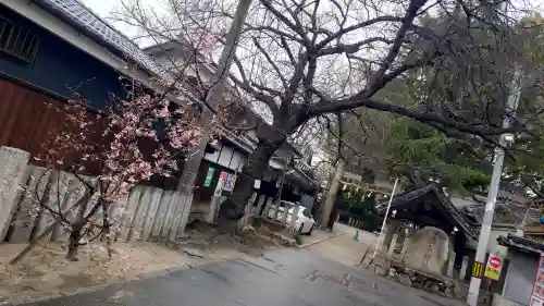 式内楯原神社の{uncategorized: "未分類", other: "その他", undefined: "問題あり", building: "その他建物", grave: "お墓", sacred_gate: "鳥居", guardian: "狛犬", statue: "像", buddha: "仏像", history: "歴史", nature: "自然", garden: "庭園", animal: "動物", pagoda: "塔", temizu: "手水舎", mountain_gate: "山門・神門", sanctuary: "本殿・本堂", subordinate: "末社・摂社", art: "芸術", scenery: "景色", jizo: "地蔵", ema: "絵馬", goshuin: "御朱印", omikuji: "おみくじ", items: "授与品その他", amulet: "お守り", goshuincho: "御朱印帳", eats: "食事", festival: "お祭り", votive_dance: "神楽", shichigosan: "七五三参", wedding: "結婚式", experience: "体験その他", initially: "初詣", around: "周辺", anti_infection: "感染症対策"}