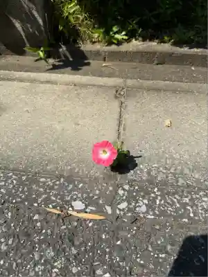 高家神社(千葉県)
