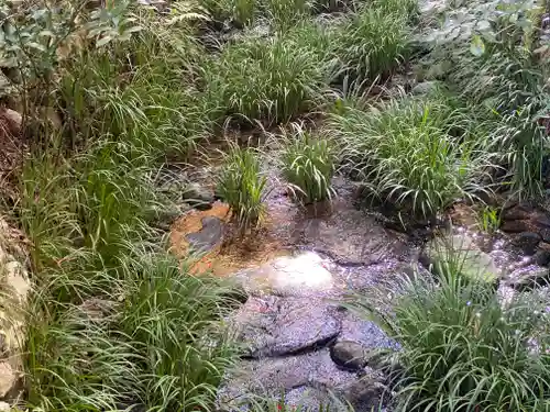 小新屋観音(兵庫県)