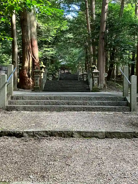 八幡神社(武芸八幡宮)(岐阜県)
