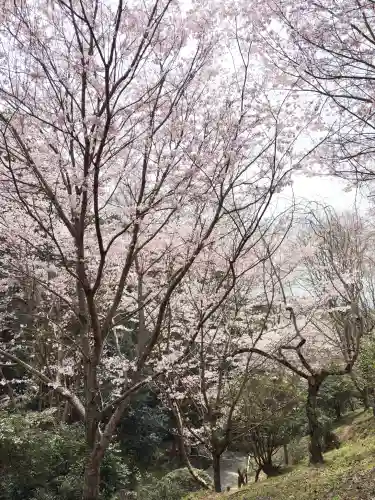 大神神社の{uncategorized: "未分類", other: "その他", undefined: "問題あり", building: "その他建物", grave: "お墓", sacred_gate: "鳥居", guardian: "狛犬", statue: "像", buddha: "仏像", history: "歴史", nature: "自然", garden: "庭園", animal: "動物", pagoda: "塔", temizu: "手水舎", mountain_gate: "山門・神門", sanctuary: "本殿・本堂", subordinate: "末社・摂社", art: "芸術", scenery: "景色", jizo: "地蔵", ema: "絵馬", goshuin: "御朱印", omikuji: "おみくじ", items: "授与品その他", amulet: "お守り", goshuincho: "御朱印帳", eats: "食事", festival: "お祭り", votive_dance: "神楽", shichigosan: "七五三参", wedding: "結婚式", experience: "体験その他", initially: "初詣", around: "周辺", anti_infection: "感染症対策"}