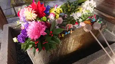 勝林寺(京都府)