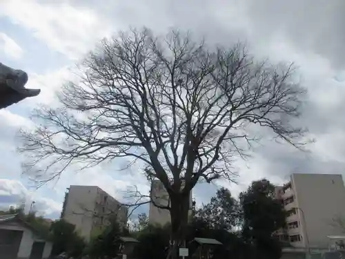 石坐神社(滋賀県)
