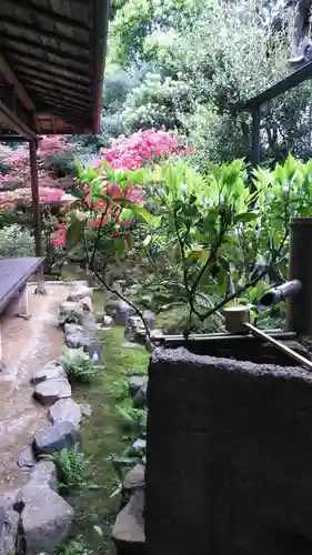 大雄院の手水舎