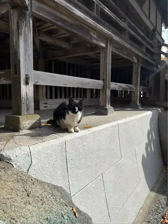 奥氷川神社(東京都)