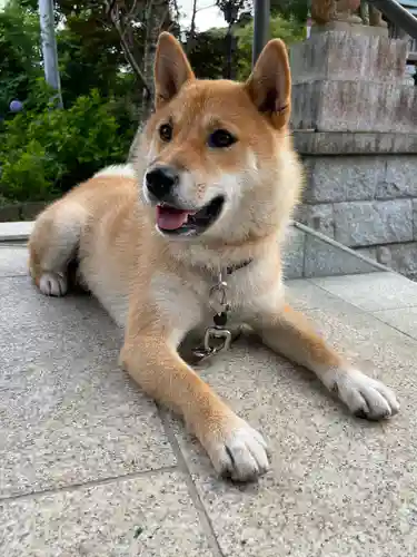 鶴峯八幡宮(千葉県)