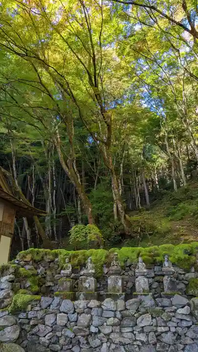 古知谷阿弥陀寺(京都府)