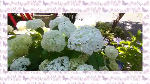 於菊稲荷神社(群馬県)