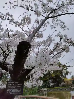 豊國神社の庭園