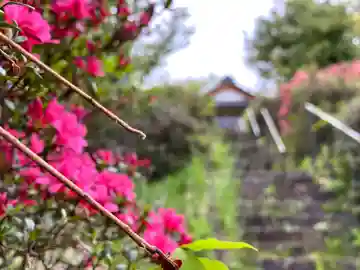 和神社(長野県)