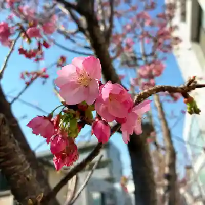 天照大神(神奈川県)