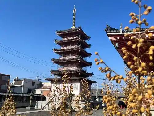 津観音の{uncategorized: "未分類", other: "その他", undefined: "問題あり", building: "その他建物", grave: "お墓", sacred_gate: "鳥居", guardian: "狛犬", statue: "像", buddha: "仏像", history: "歴史", nature: "自然", garden: "庭園", animal: "動物", pagoda: "塔", temizu: "手水舎", mountain_gate: "山門・神門", sanctuary: "本殿・本堂", subordinate: "末社・摂社", art: "芸術", scenery: "景色", jizo: "地蔵", ema: "絵馬", goshuin: "御朱印", omikuji: "おみくじ", items: "授与品その他", amulet: "お守り", goshuincho: "御朱印帳", eats: "食事", festival: "お祭り", votive_dance: "神楽", shichigosan: "七五三参", wedding: "結婚式", experience: "体験その他", initially: "初詣", around: "周辺", anti_infection: "感染症対策"}