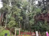 大宮温泉神社の鳥居