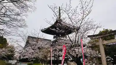 本法寺(京都府)