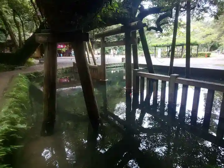 鹿島神宮(茨城県)