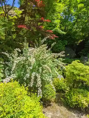 三室戸寺(京都府)
