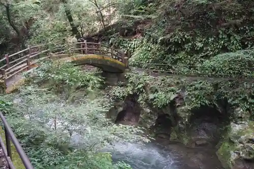 天岩戸神社の景色