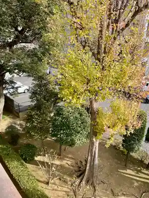 霊雲寺(東京都)