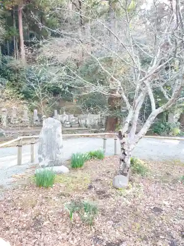 妙本寺の{uncategorized: "未分類", other: "その他", undefined: "問題あり", building: "その他建物", grave: "お墓", sacred_gate: "鳥居", guardian: "狛犬", statue: "像", buddha: "仏像", history: "歴史", nature: "自然", garden: "庭園", animal: "動物", pagoda: "塔", temizu: "手水舎", mountain_gate: "山門・神門", sanctuary: "本殿・本堂", subordinate: "末社・摂社", art: "芸術", scenery: "景色", jizo: "地蔵", ema: "絵馬", goshuin: "御朱印", omikuji: "おみくじ", items: "授与品その他", amulet: "お守り", goshuincho: "御朱印帳", eats: "食事", festival: "お祭り", votive_dance: "神楽", shichigosan: "七五三参", wedding: "結婚式", experience: "体験その他", initially: "初詣", around: "周辺", anti_infection: "感染症対策"}