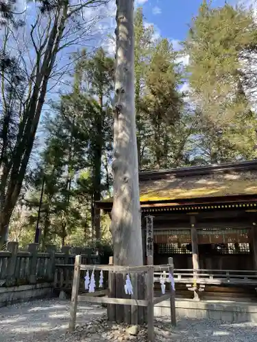 諏訪大社下社春宮の自然