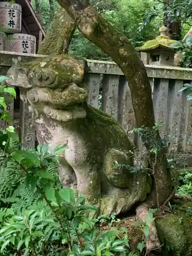 五所駒瀧神社の狛犬