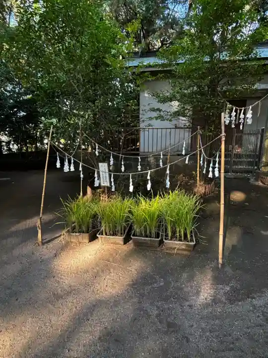 氷川女體神社(埼玉県)