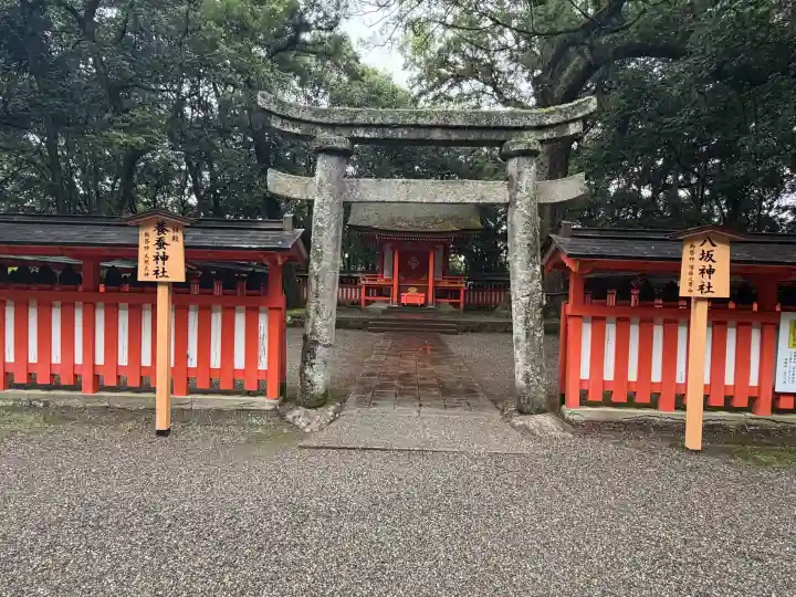 宇佐神宮(大分県)