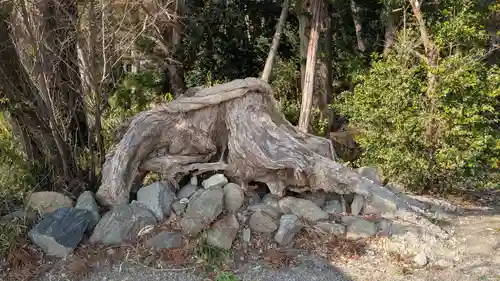 立鉾鹿島神社の自然