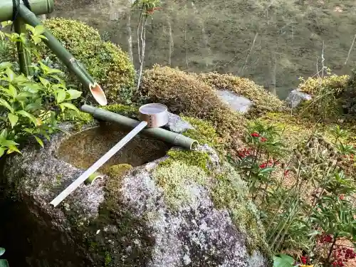 蓮華寺（洛北蓮華寺）(京都府)