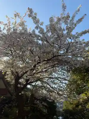 貴船神社(神奈川県)