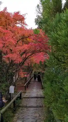 光悦寺(京都府)