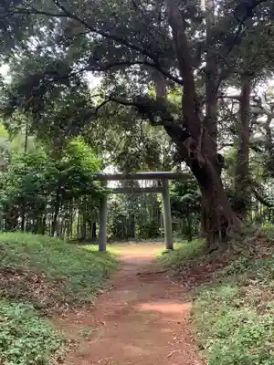老尾神社(千葉県)