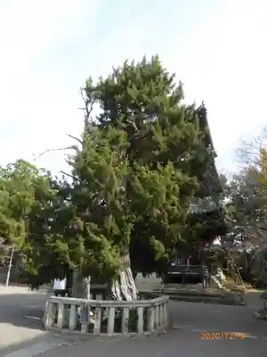 道成寺のその他建物
