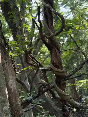 赤神神社(秋田県)