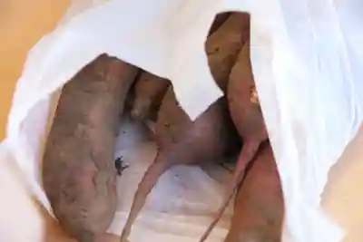 大鏑神社(福島県)