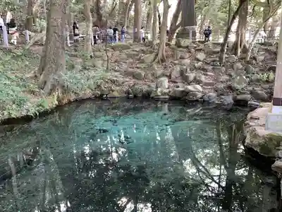 泉神社(茨城県)