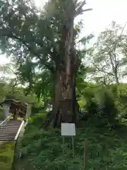 鏡徳寺(茨城県)