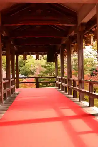 光明寺（粟生光明寺）(京都府)