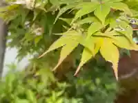西方山極楽寺(岐阜県)