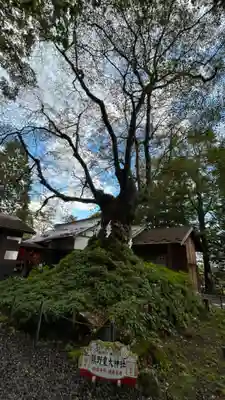 熊野皇大神社(長野県)