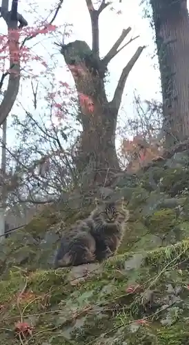 伊香保神社(群馬県)