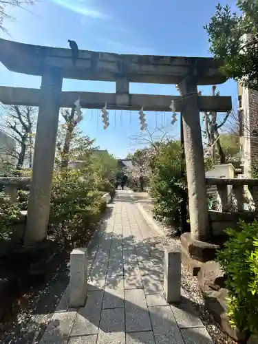 鳩森八幡神社の鳥居