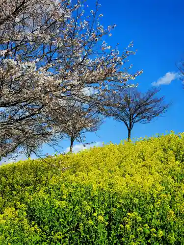 網戸神社(栃木県)