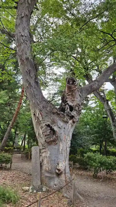 善光寺(長野県)