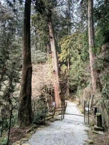 室生寺の{uncategorized: "未分類", other: "その他", undefined: "問題あり", building: "その他建物", grave: "お墓", sacred_gate: "鳥居", guardian: "狛犬", statue: "像", buddha: "仏像", history: "歴史", nature: "自然", garden: "庭園", animal: "動物", pagoda: "塔", temizu: "手水舎", mountain_gate: "山門・神門", sanctuary: "本殿・本堂", subordinate: "末社・摂社", art: "芸術", scenery: "景色", jizo: "地蔵", ema: "絵馬", goshuin: "御朱印", omikuji: "おみくじ", items: "授与品その他", amulet: "お守り", goshuincho: "御朱印帳", eats: "食事", festival: "お祭り", votive_dance: "神楽", shichigosan: "七五三参", wedding: "結婚式", experience: "体験その他", initially: "初詣", around: "周辺", anti_infection: "感染症対策"}