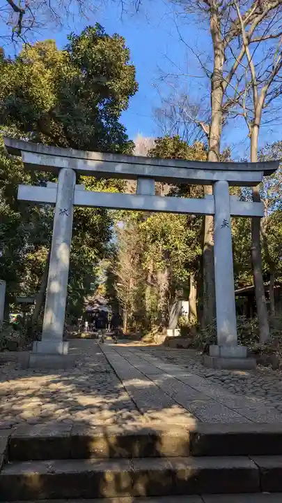 代々木八幡宮の鳥居